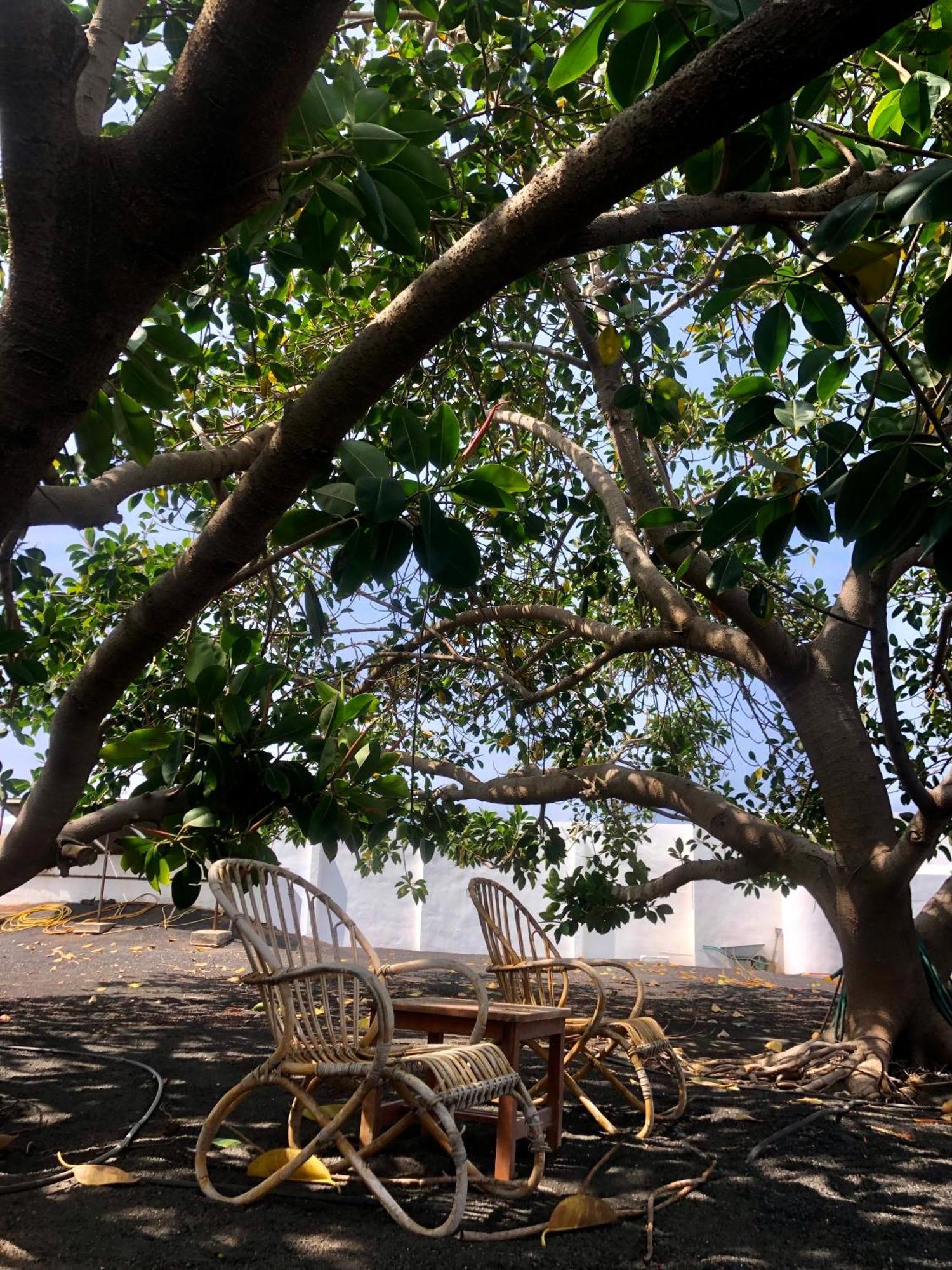 Villa Luciano "Spirit Of The Canaries" Тіас Екстер'єр фото